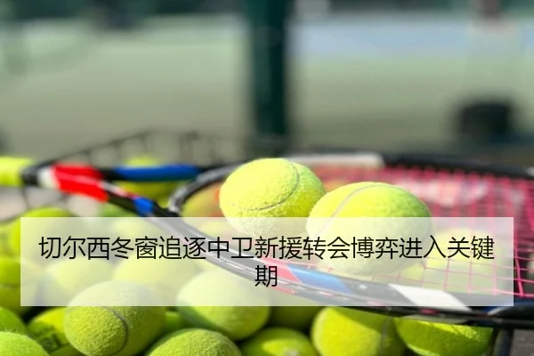 切尔西冬窗追逐中卫新援转会博弈进入关键期